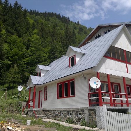 Cabana Dara Cumpăna Habitación foto