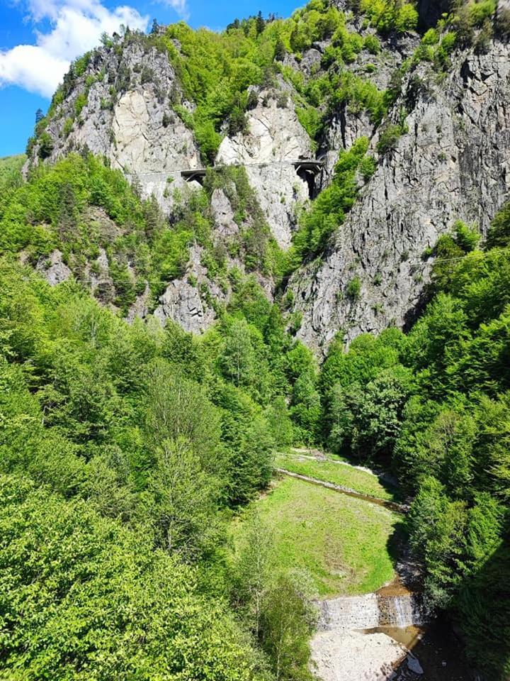 Cabana Dara Cumpăna Exterior foto