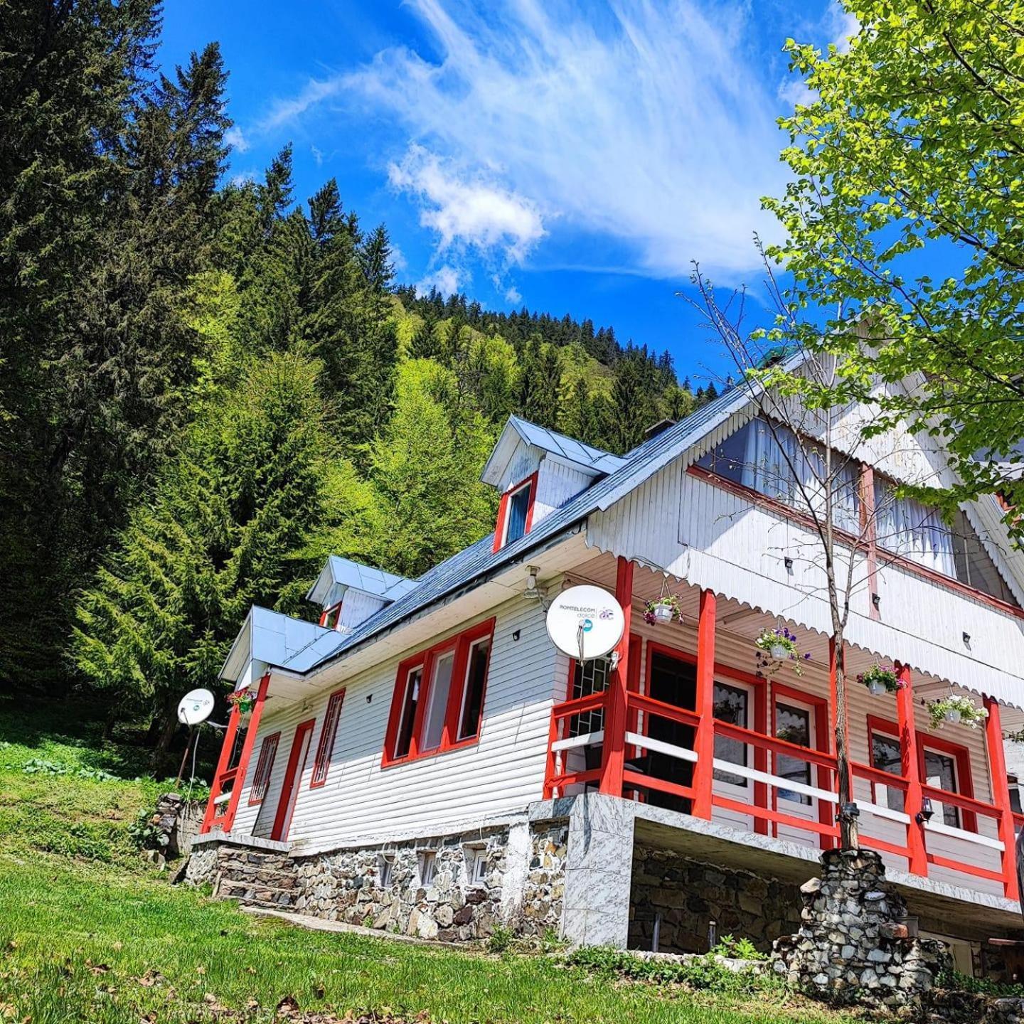 Cabana Dara Cumpăna Exterior foto