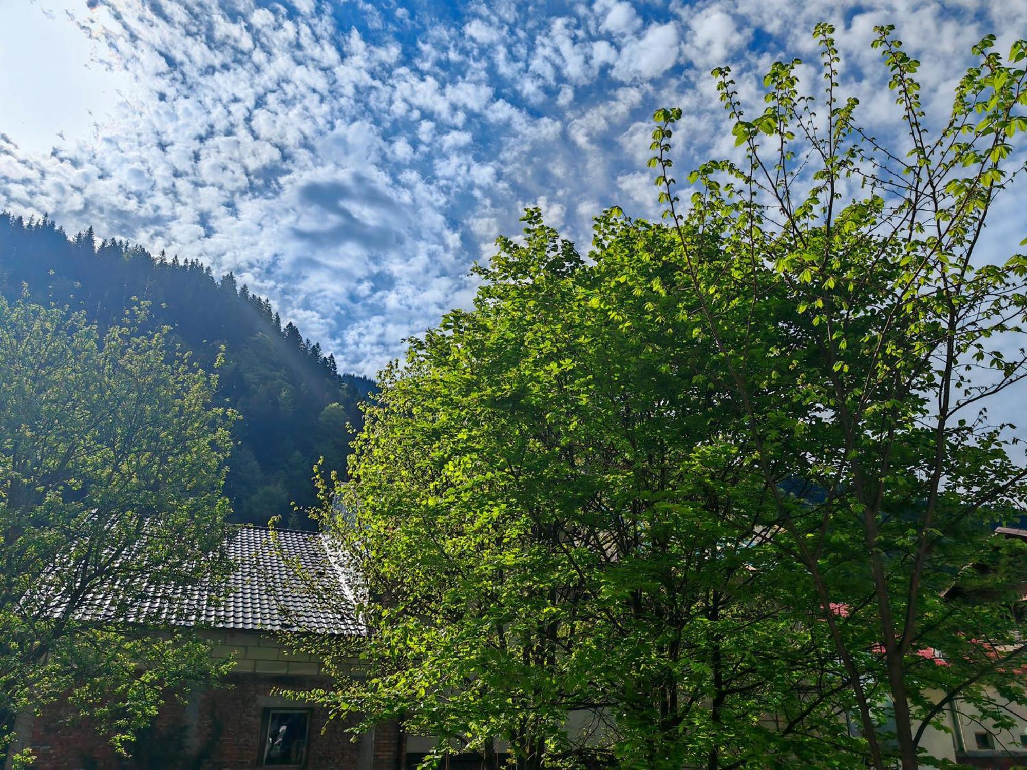 Cabana Dara Cumpăna Exterior foto